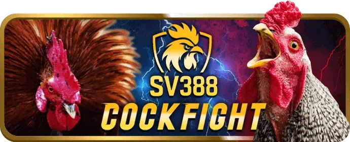 Chính sách ưu đãi và khuyến mãi 168bet nhà cái